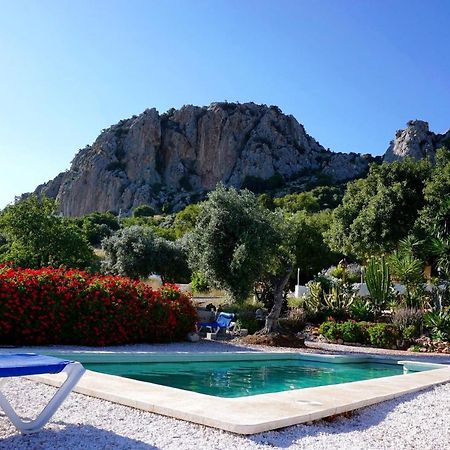 Olive Branch El Chorro Hotel Exterior photo