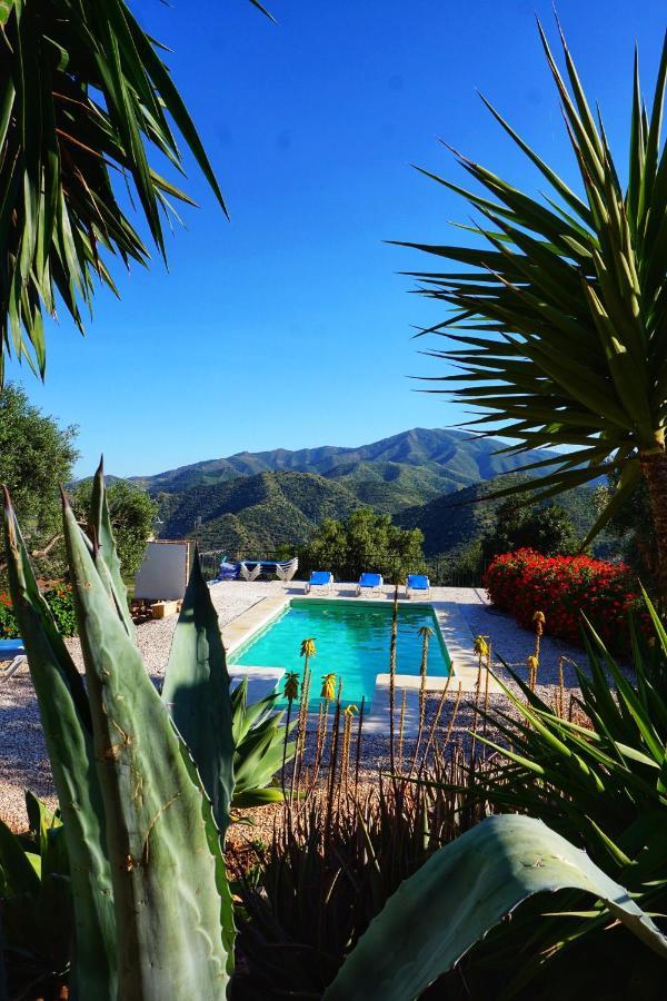 Olive Branch El Chorro Hotel Exterior photo