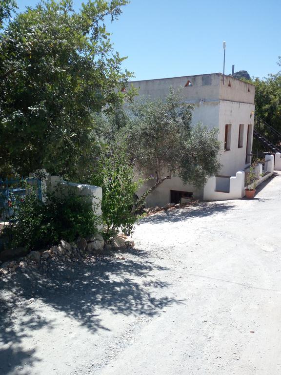 Olive Branch El Chorro Hotel Exterior photo